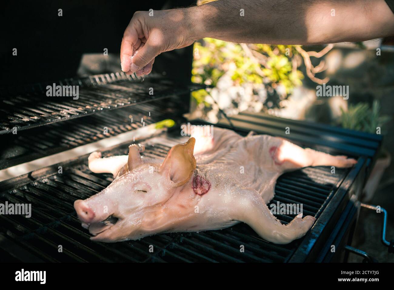 Lo chef prepara il sale al maiale su una griglia per barbecue. Primo piano  di maiale intero cotto carne alla griglia in barbecue di casa giardino in  vacanza. Uomo che cucina un