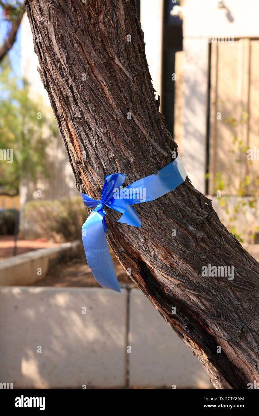 Nastro blu legato intorno ad un albero per onorare gli operatori sanitari Significa anche "Blue Lives Matter" pro-polizia Foto Stock