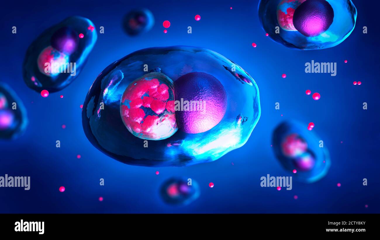 Cellula infettata con batteri Chlamydia patogeni, illustrazione 3d. Foto Stock