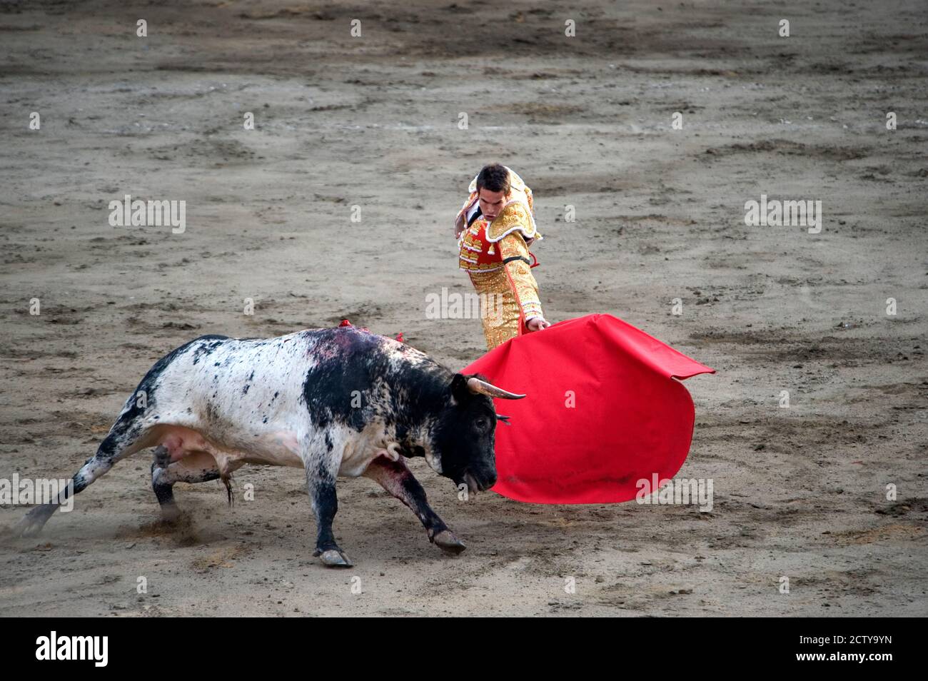 Matador e un toro in una corrida, Lima, Peru Foto Stock