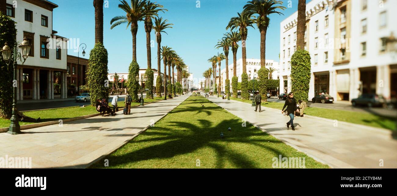 Parco pubblico a Rabat, Marocco Foto Stock