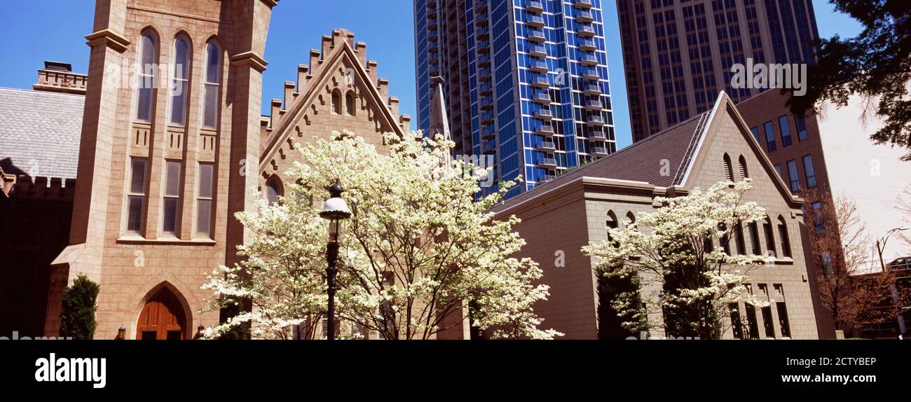 Alberi di fronte ad un edificio, Charlotte, Contea di Mecklenburg, Carolina del Nord, Stati Uniti Foto Stock