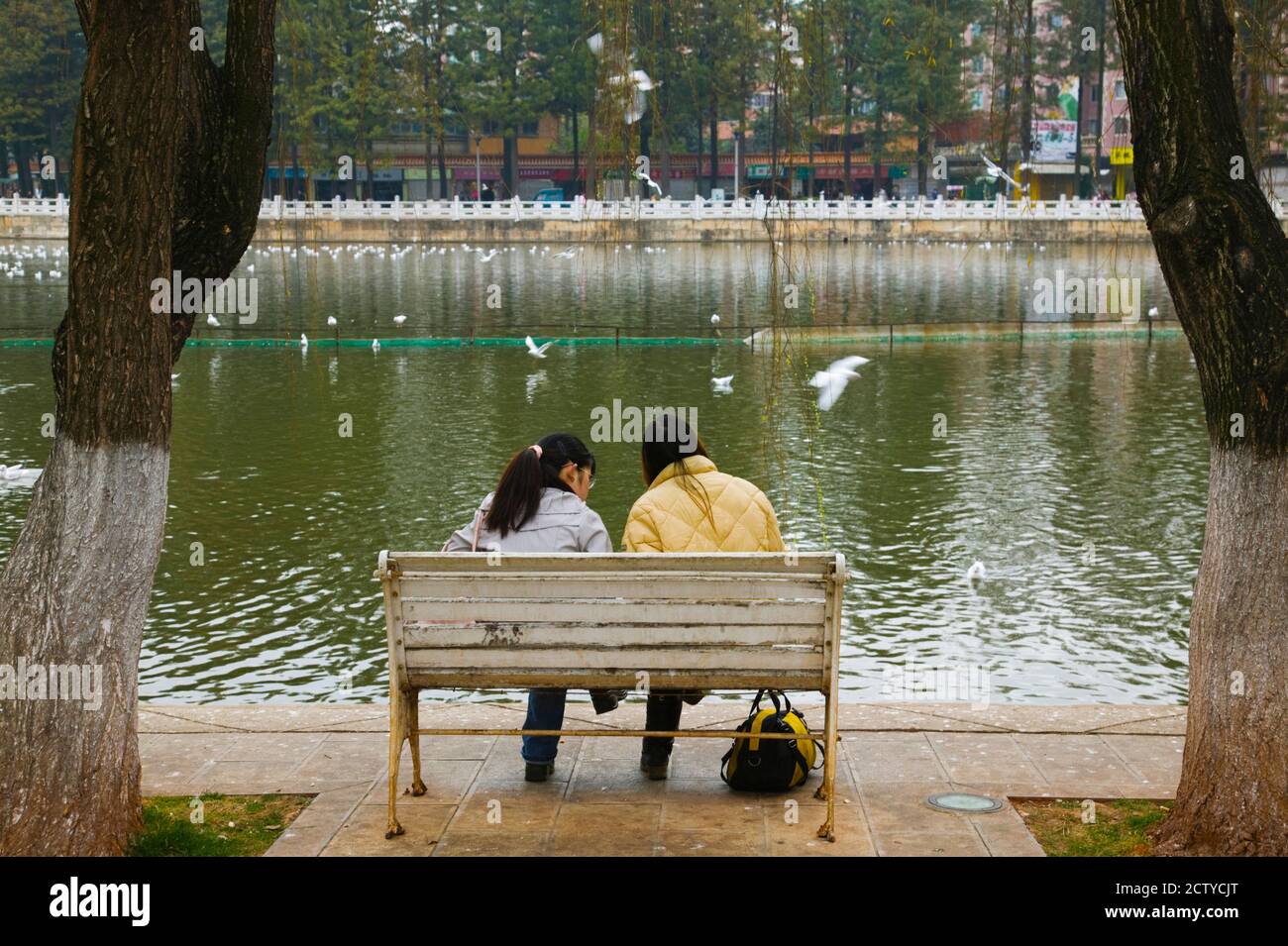 Donne che siedono su una panchina del parco al lago, Green Lake Park, Kunming, Provincia di Yunnan, Cina Foto Stock