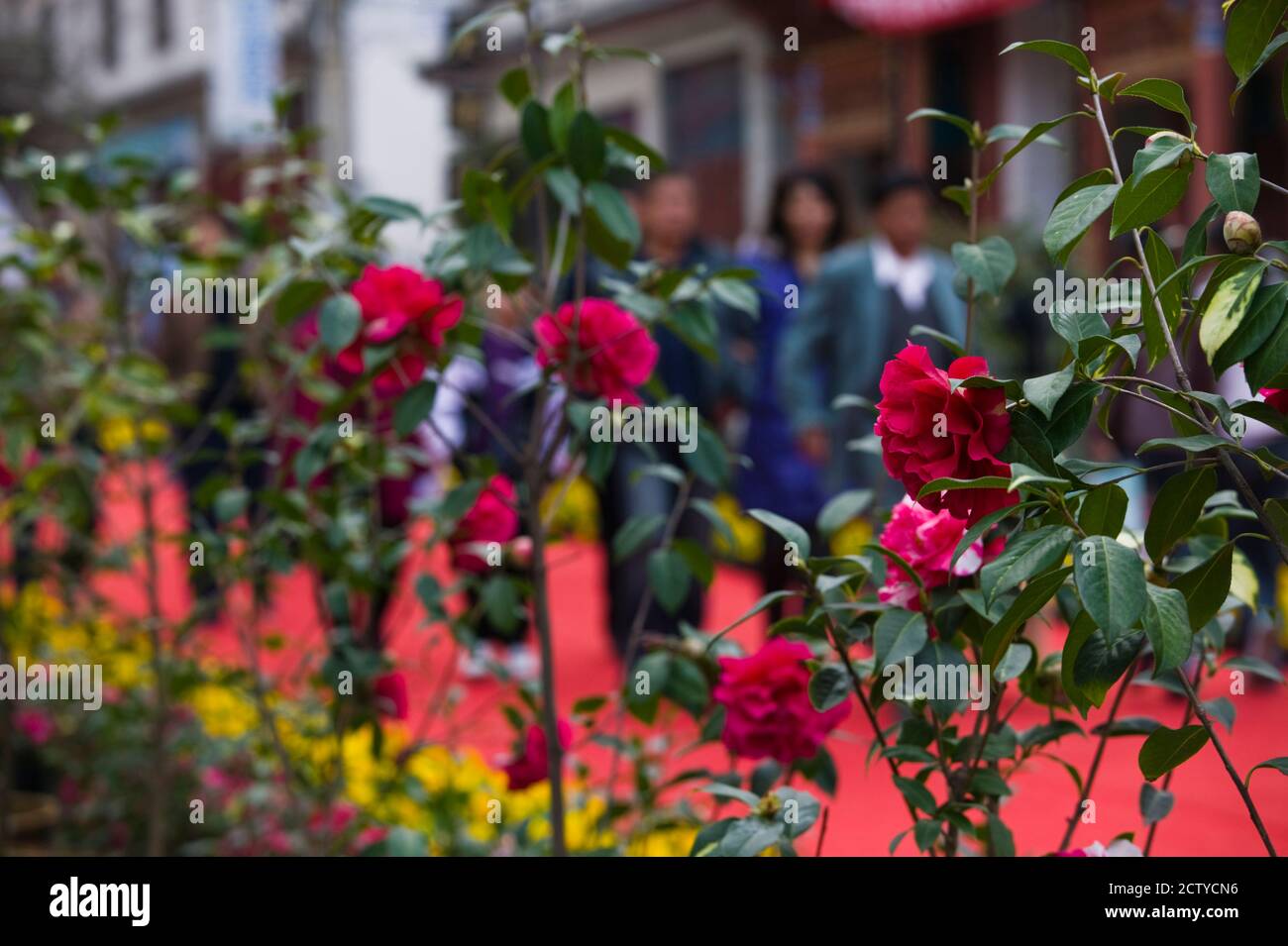 Persone al festival dei fiori di primavera, Città Vecchia, Dali, Provincia di Yunnan, Cina Foto Stock