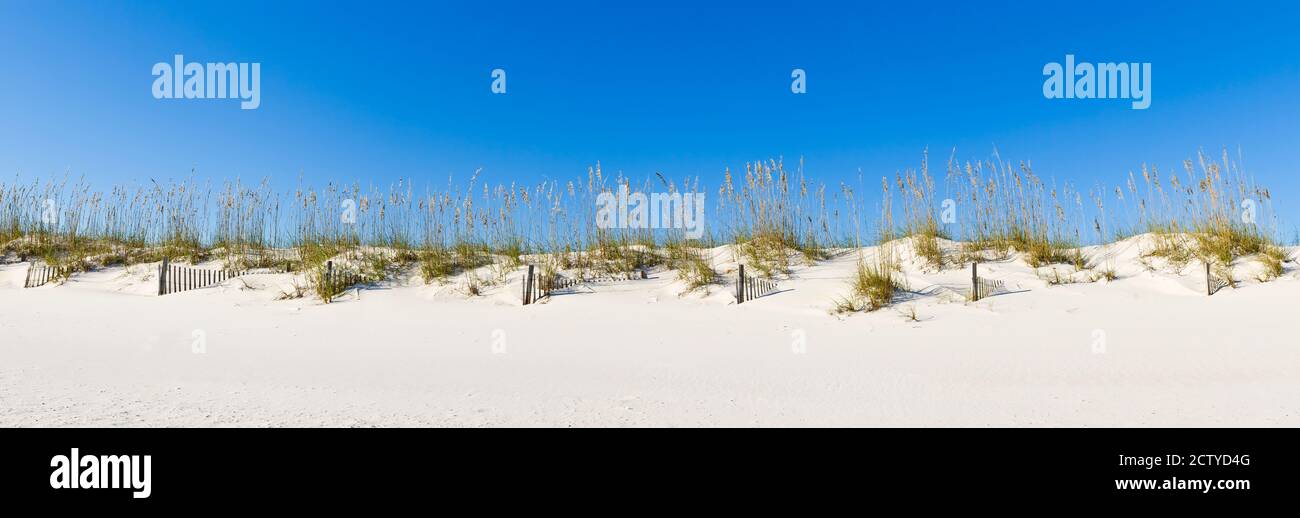 Dune di sabbia sul Golfo del Messico, Orange Beach, Baldwin County, Alabama, Stati Uniti Foto Stock