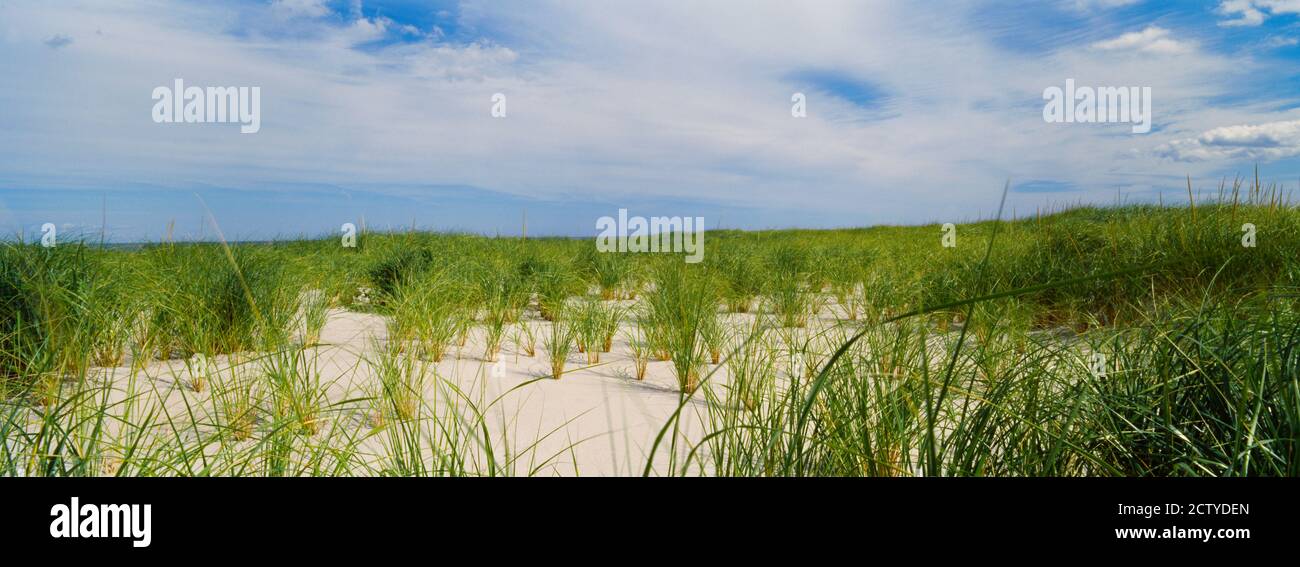 Dune di sabbia a Crane Beach, Ipswich, Essex County, Massachusetts, Stati Uniti Foto Stock