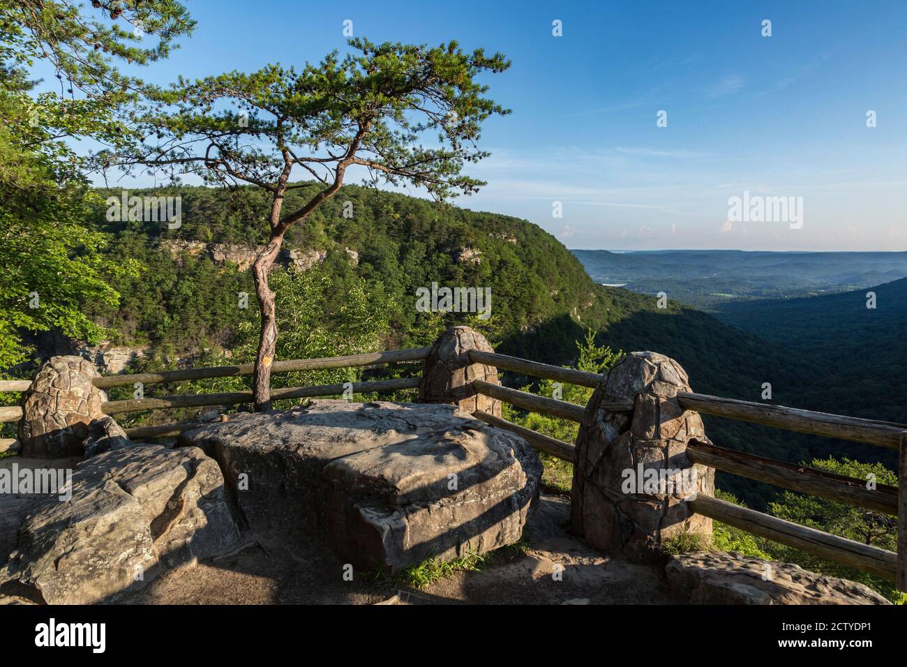 Cloudland Canyon state Park a Rising Fawn, Georgia, Stati Uniti Foto Stock