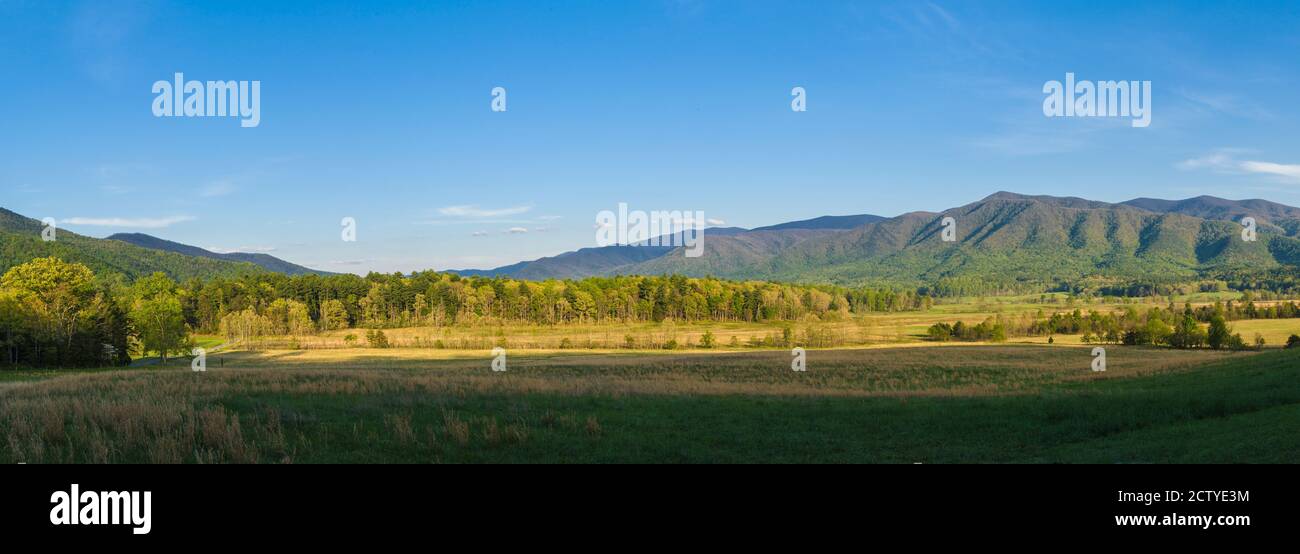 Campo con una catena montuosa sullo sfondo, Cades Cove, Great Smoky Mountains National Park, Blount County, Tennessee, USA Foto Stock