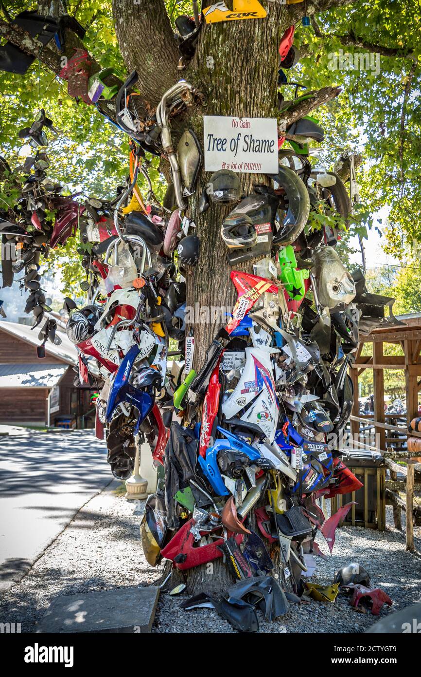 Albero di vergogna coperto in parti di moto da relitti lungo la coda del drago a Deals Gap, Carolina del Nord, Stati Uniti Foto Stock