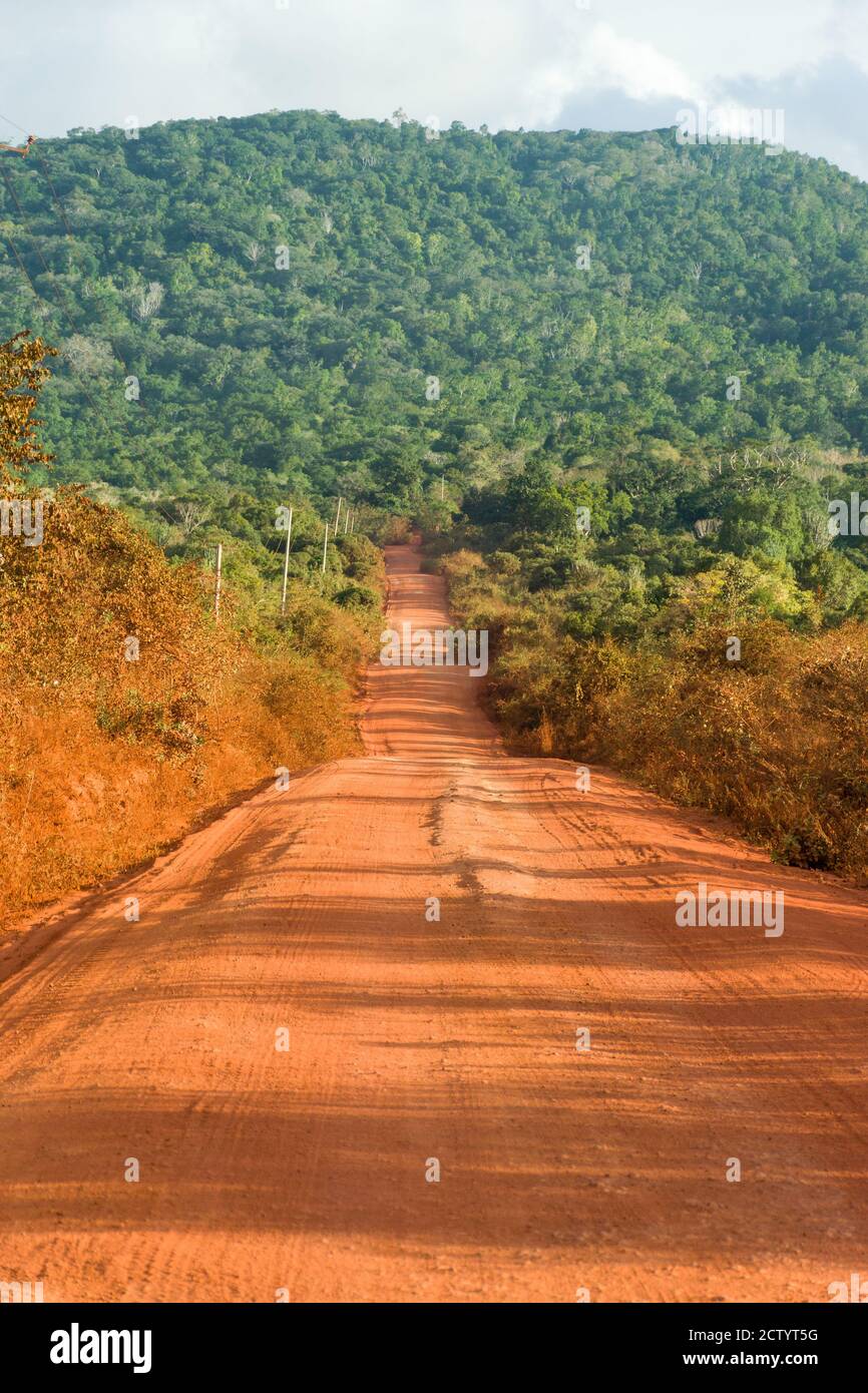 Una sezione della strada sterrata non asfaltata C106 con Shimba Hills sullo sfondo, Kenya, Africa orientale Foto Stock