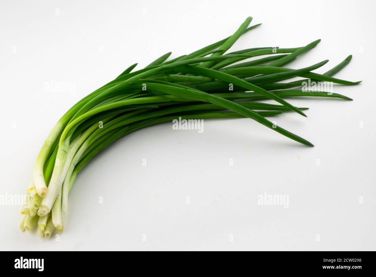 mazzo di cipolle verdi su sfondo bianco Foto Stock