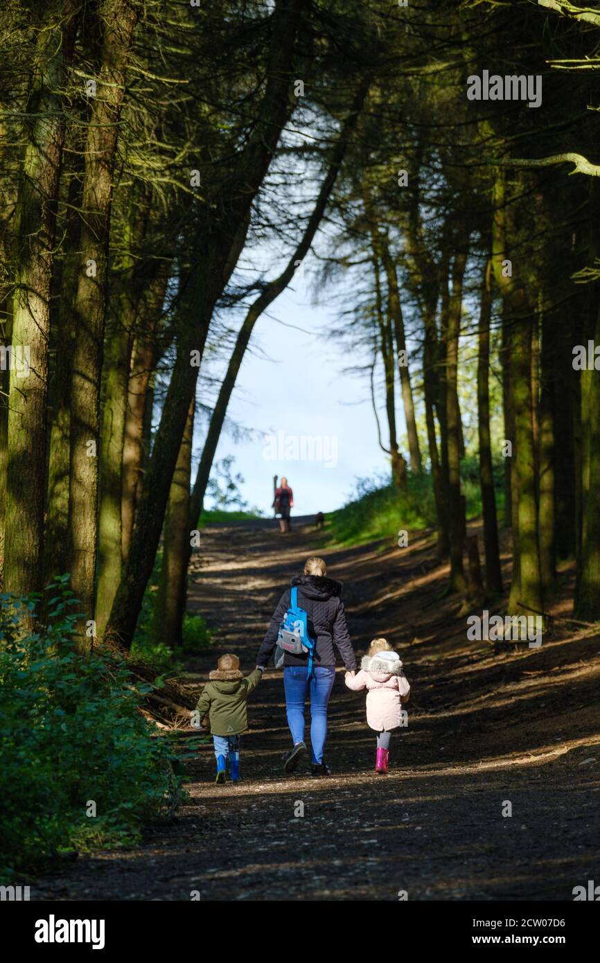 Le persone che apprezzano lo spazio all'aperto del Beacon Fell Country Park Nel Lancashire Foto Stock