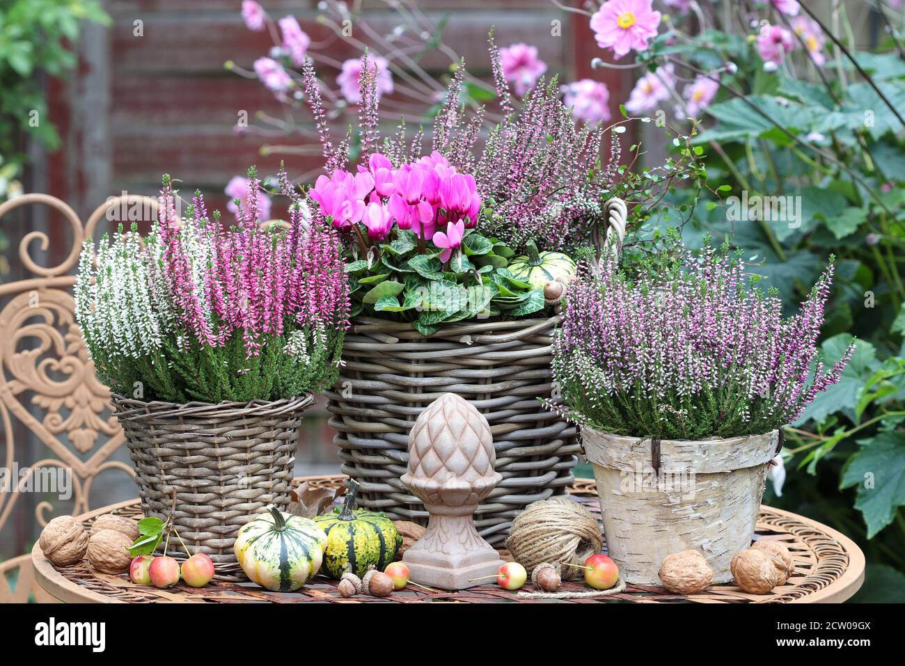 decorazione rustica giardino con fiori rosa autunno in cestini Foto Stock