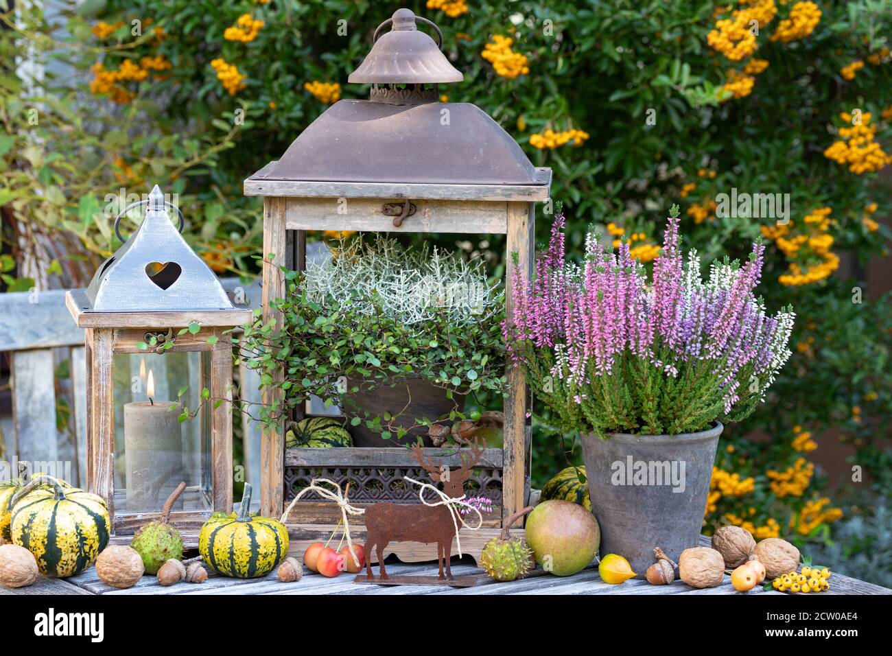 decorazione giardino rustico con ruggine cara, fiori d'autunno e lanterna Foto Stock