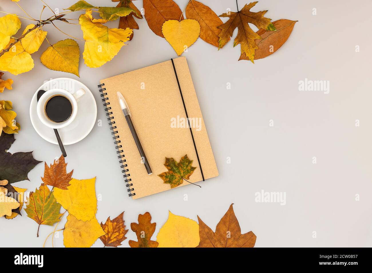 Spazio di lavoro con notebook, penna, foglie autunnali e tazza da caffè. Foto Stock