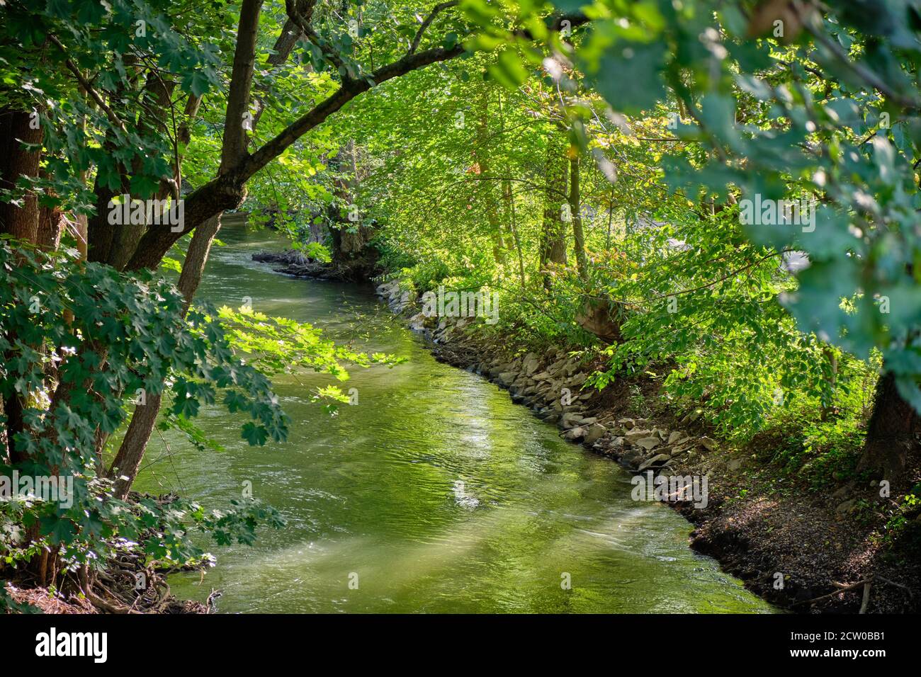 Bellissimo paesaggio idilliaco con lussureggiante fogliame degli alberi illuminati dalla luce solare intorno a un braccio laterale del fiume Pegnitz a Norimberga, Germania in Foto Stock