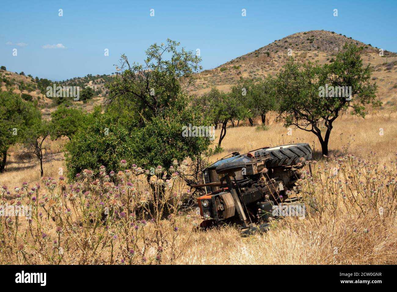 Trattore agricolo giaceva nel campo rurale con alberi dopo incidente Foto Stock