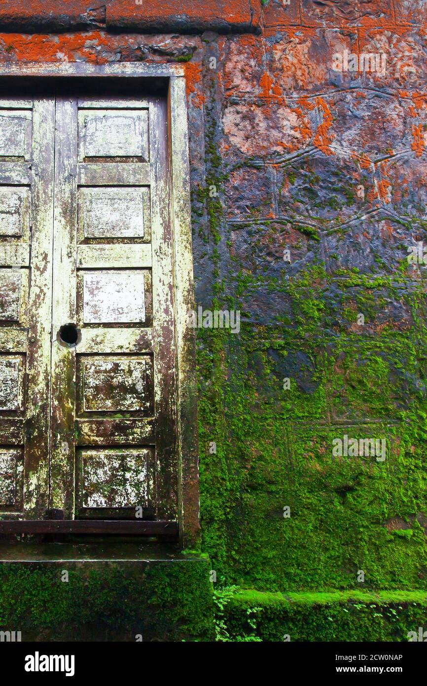 Astratto muschio arancione e verde che cresce su porta di legno bianco e la tessitura muraria di arenaria del tempio antico. Wat Sampov PRAM, Kampot, Cambogia. Foto Stock