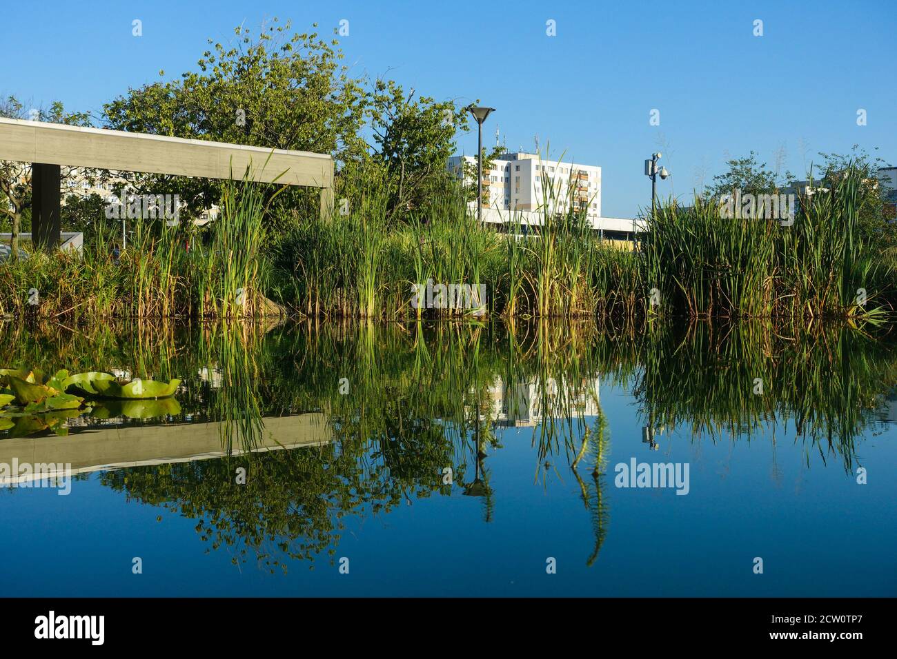 Riflessione lago urbano, carta da parati specchio lago cittadino, Budapest, Ungheria Foto Stock