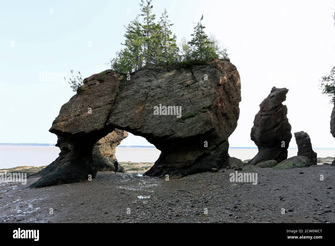 Hopewell Flowerpot Rocks, New Brunswick, Canada Foto Stock