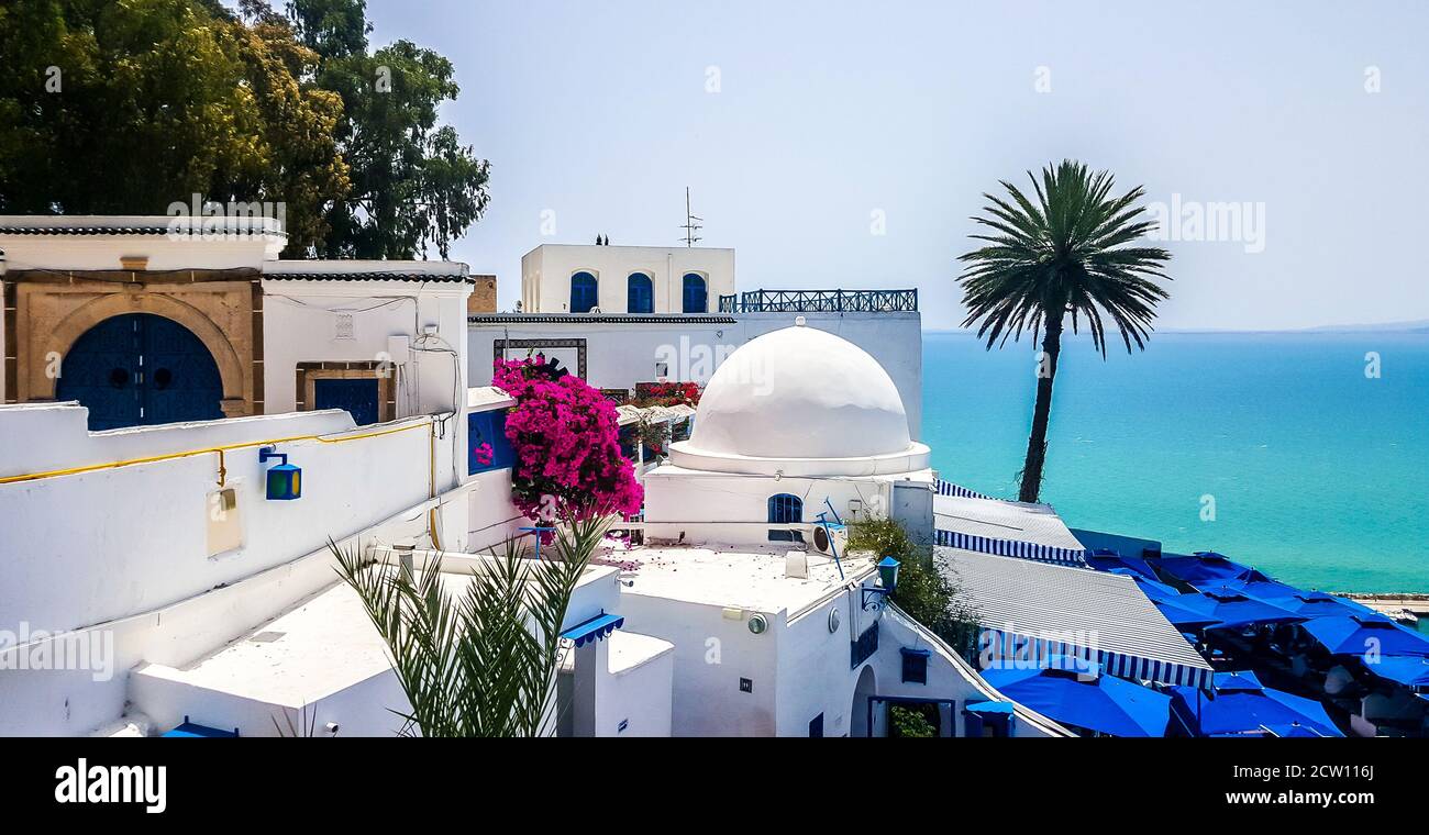 Famoso caffè nella città completamente blu e bianca di Sidi Bou Said, Tunisia Foto Stock