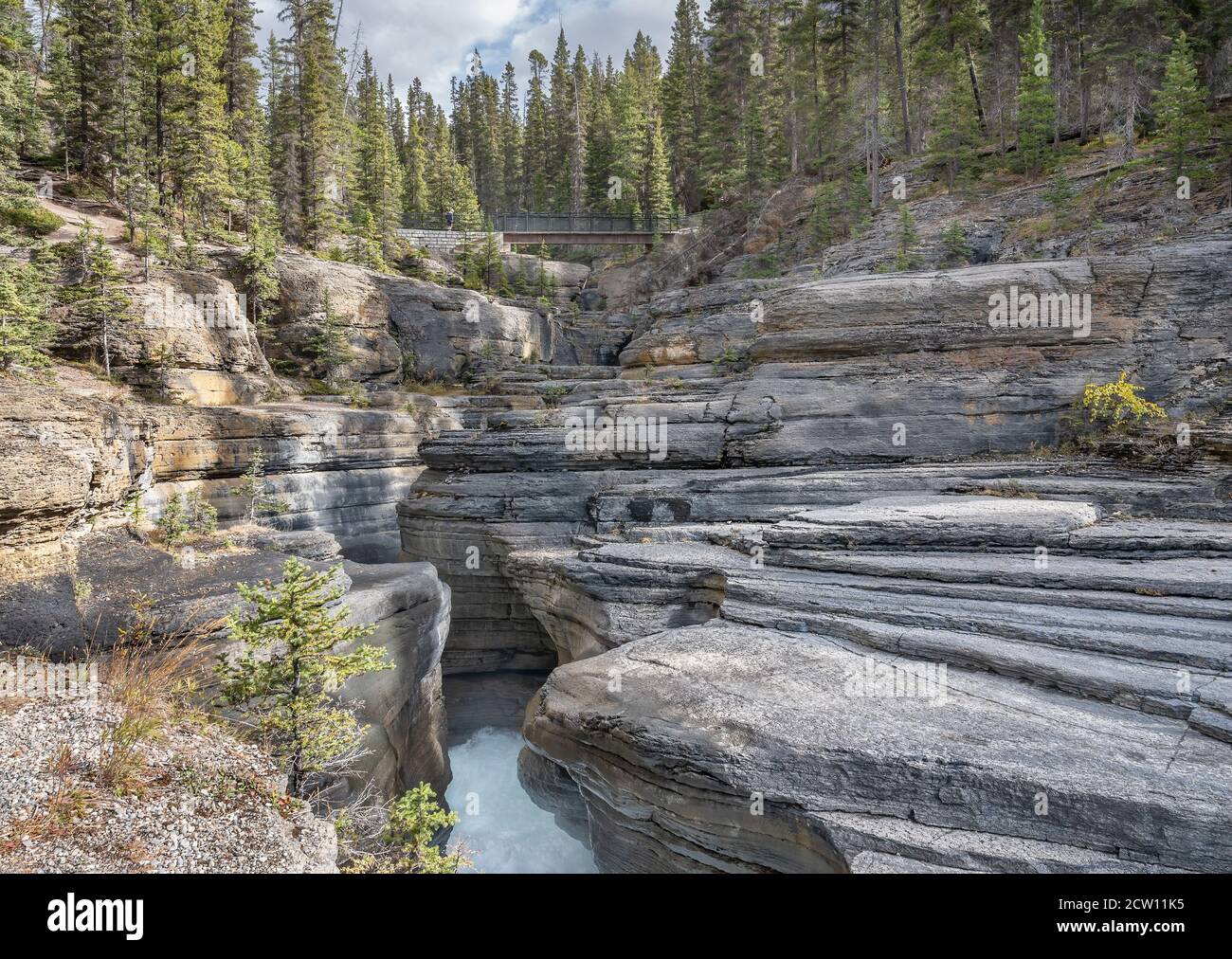 Mistaya Canyon e fiume Mistaya nel Parco Nazionale di Banff, Alberta, Canada Foto Stock