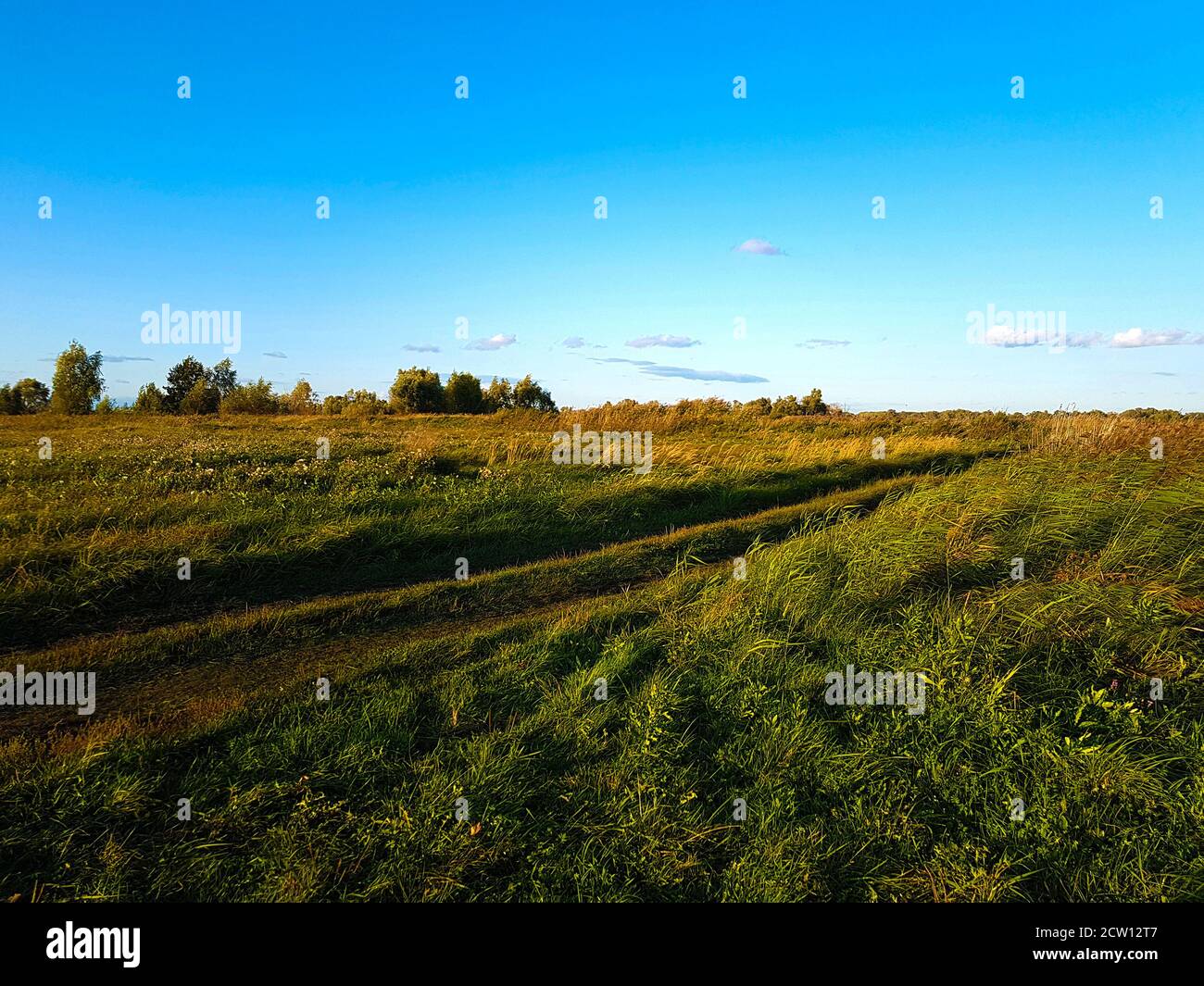 Campagna rurale strada attraverso prato campo e cielo nuvoloso sopra Foto Stock