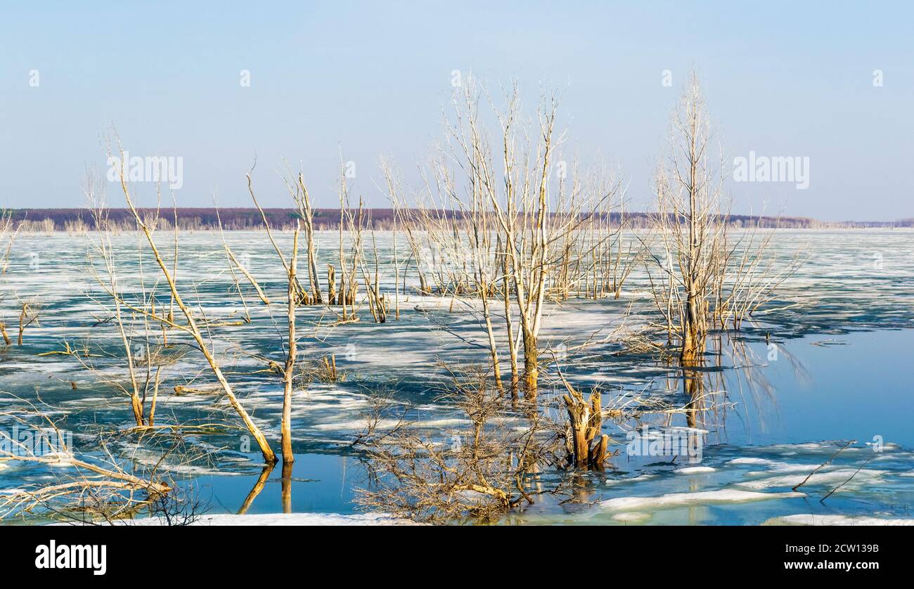 Paesaggio primaverile sul fiume con ghiaccio fondente e alberi senza foglie. Foto Stock
