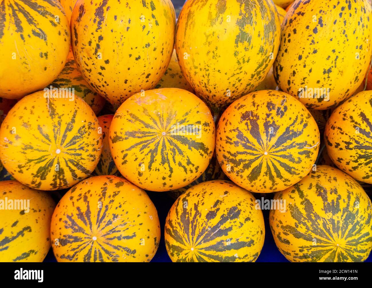 Sfondo da giallo deliziosi meloni turchi al mercato agricolo Foto Stock