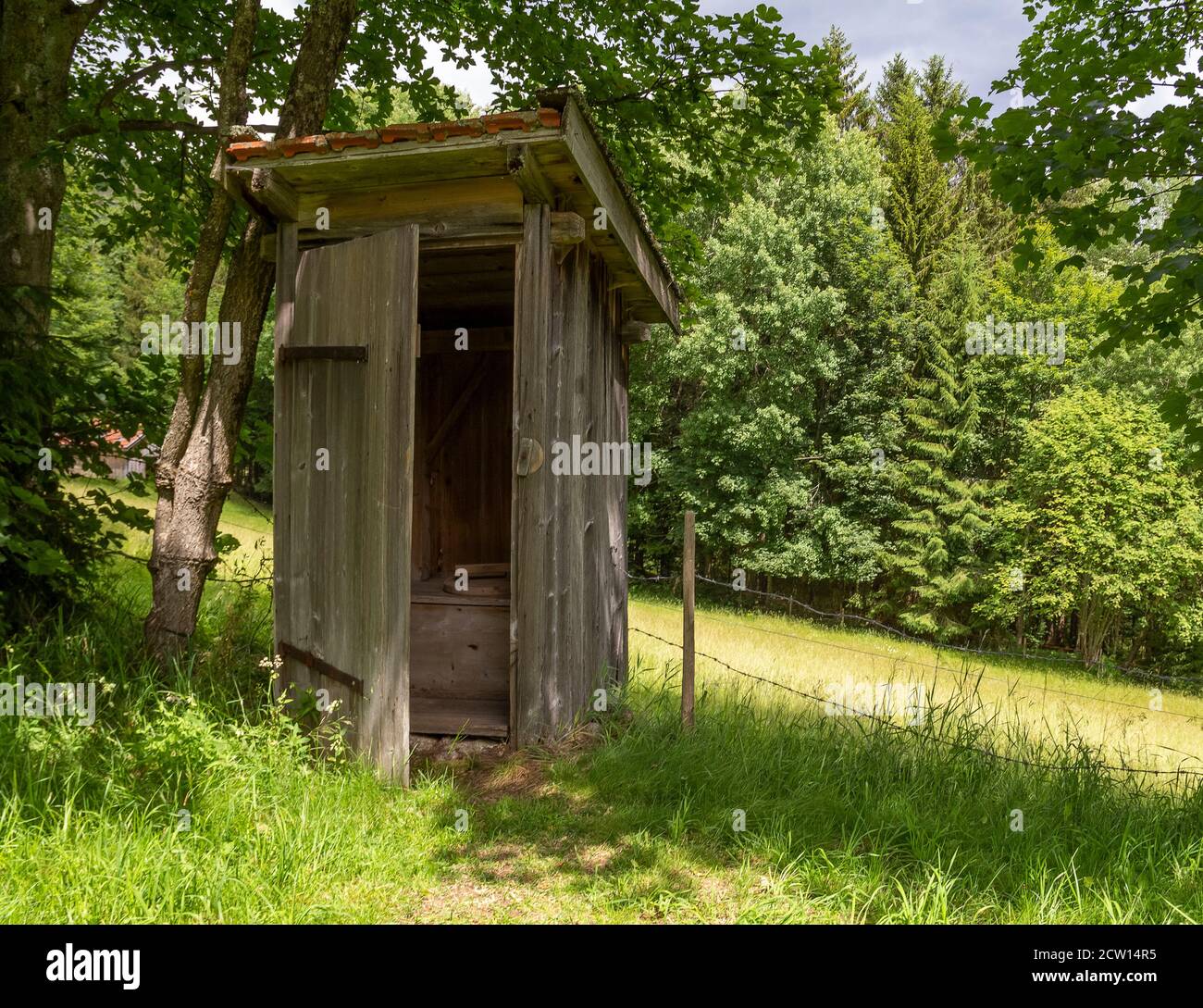 storica latrina di buca in legno in un ambiente verde soleggiato Foto Stock