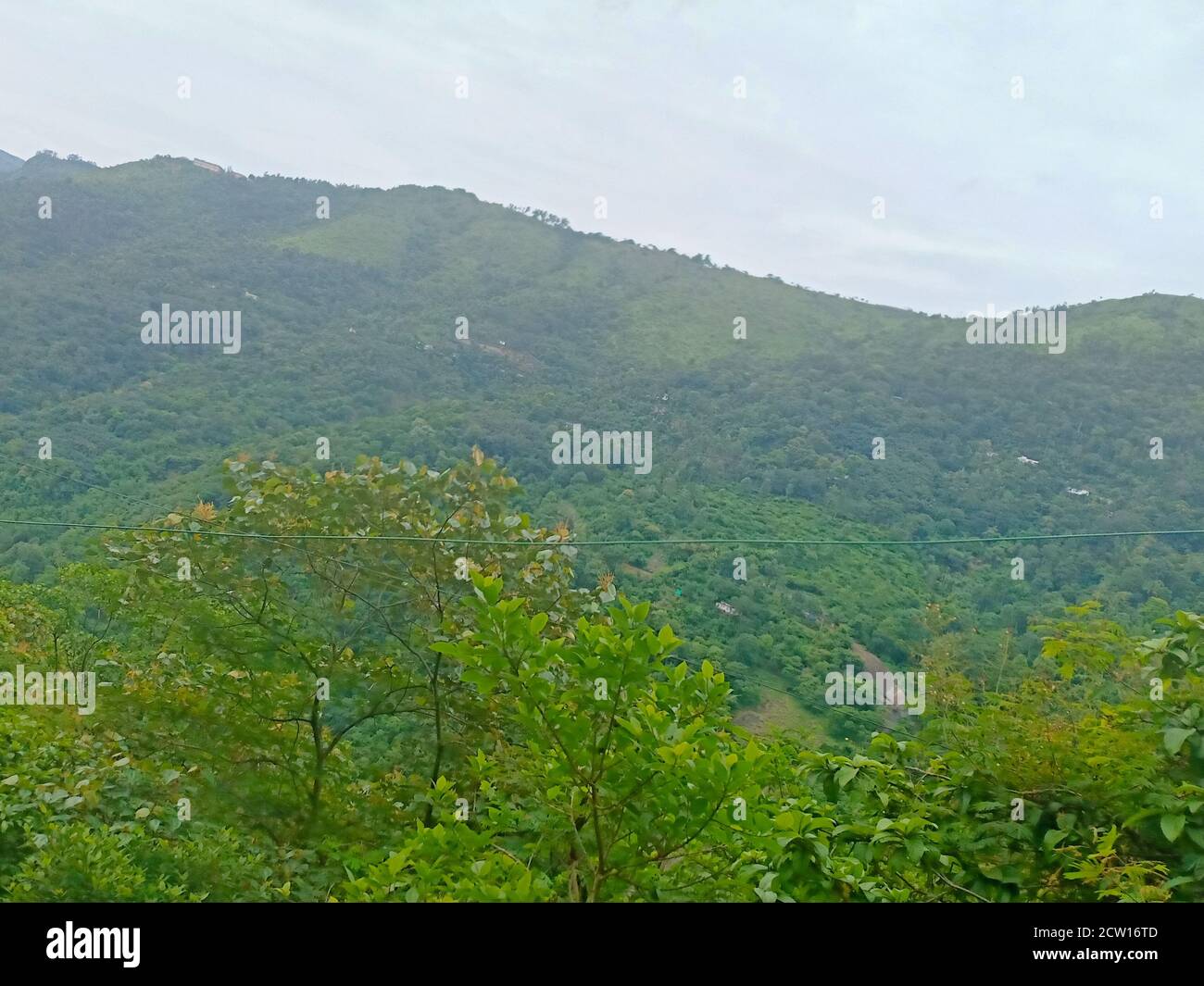 un'alta montagna e alberi una vista da idukki india Foto Stock
