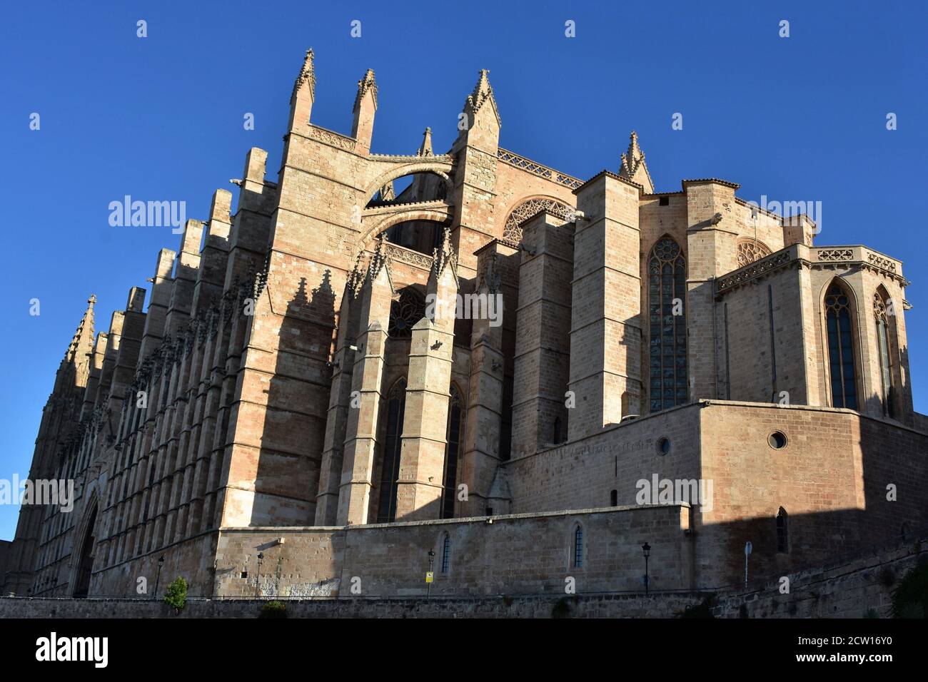 Cattedrale di Palma de Mallorca Foto Stock