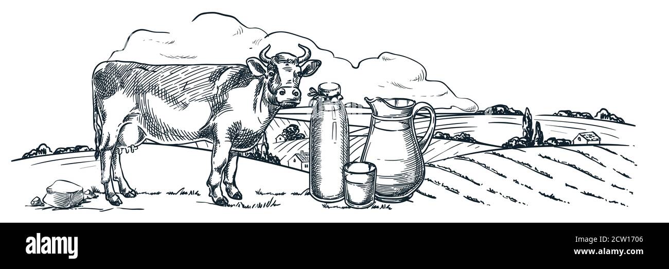 Caseificio e latticini freschi, disegno a mano vettore vintage illustrazione. Mucca, bottiglia e bicchiere di vetro con latte in campagna paesaggio campi Illustrazione Vettoriale