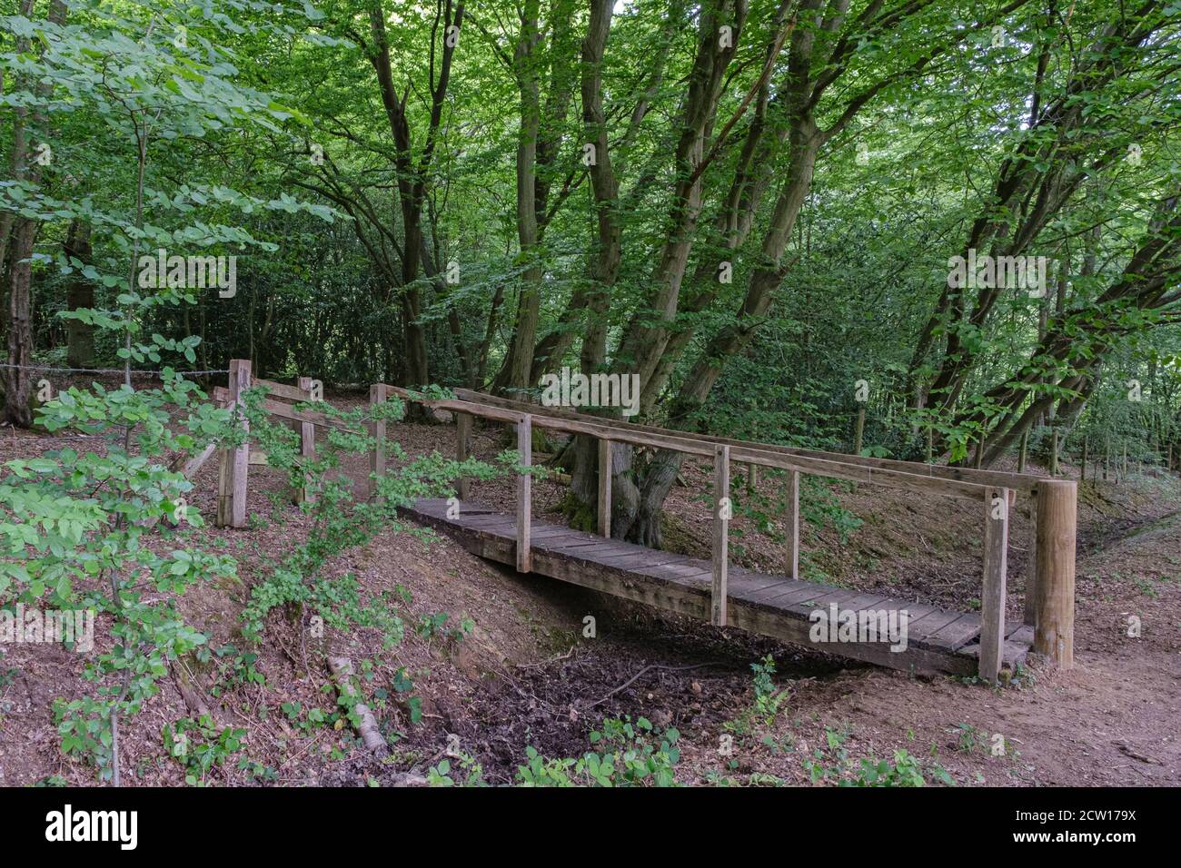Un ponte rustico in legno attraversa un letto secco ruscello nel mezzo dei boschi con alberi e fogliame. Riserva naturale di Ruislip Woods, Hillingdon, Londra. Foto Stock