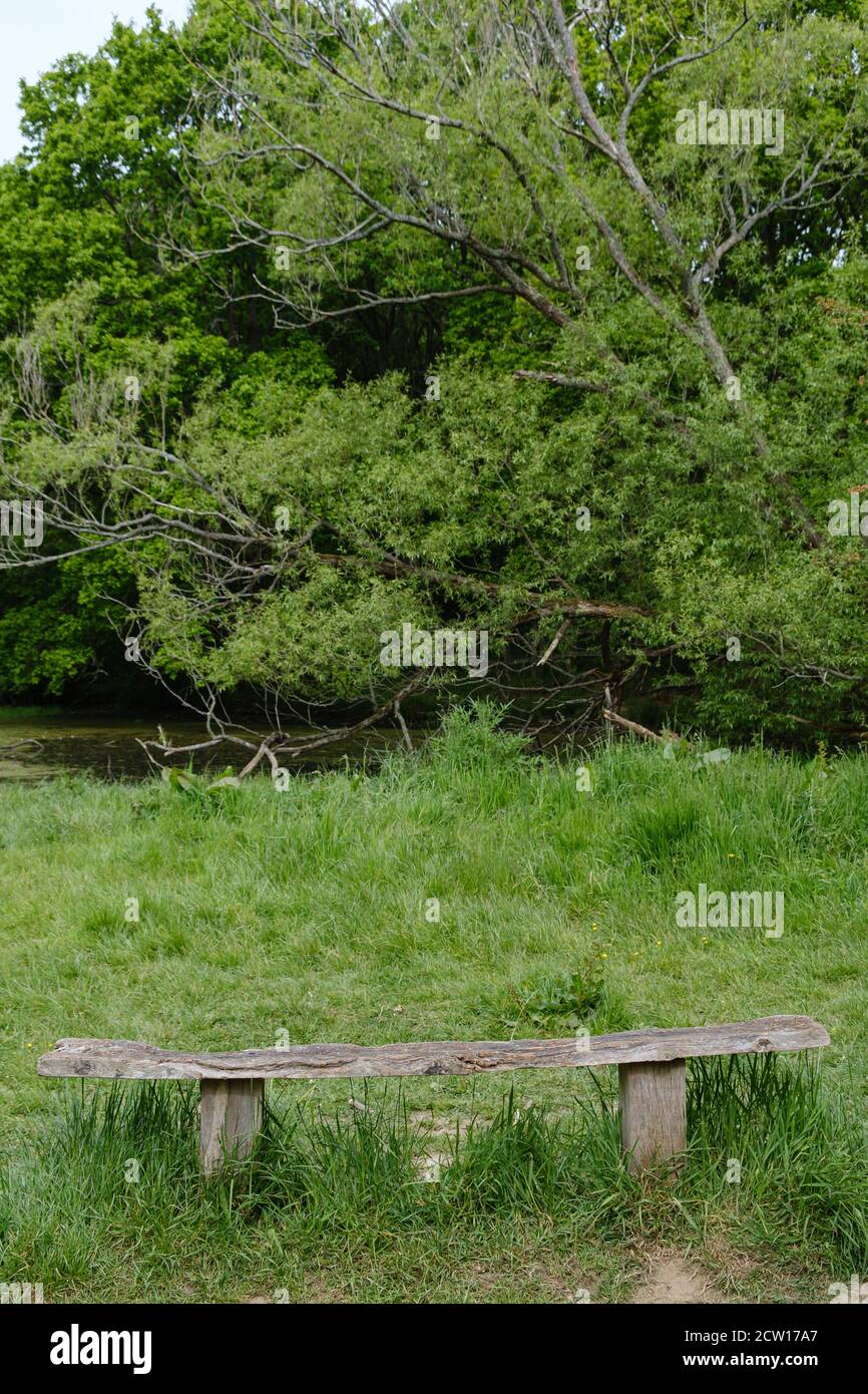 Una panca rustica in legno su due pali in un campo erboso con boschi spessi sullo sfondo. Riserva naturale di Ruislip Woods, Hillingdon, Londra. Foto Stock