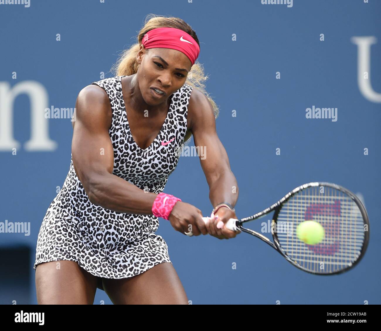 FLUSHING NY- Settembre 07: Serena Williams, a donne singoli Finals giorno quattordici del 2014 US Open al USTA Billie Jean King National Tennis Center il 7 settembre 2014 nel quartiere di lavaggio del Queens Borough of New York City People: Serena Williams Foto Stock