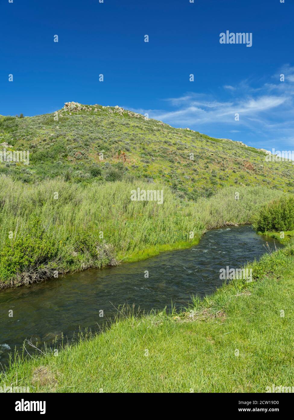 Piccolo ruscello di montagna, Park City Utah USA Foto Stock