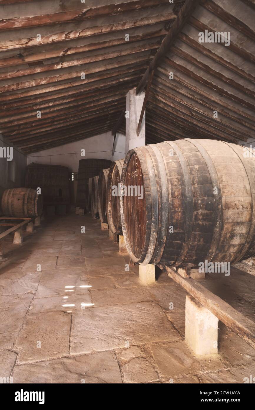 Botti di vino rosso accatastate nella vecchia cantina della vineria in Spagna, Alicante Foto Stock