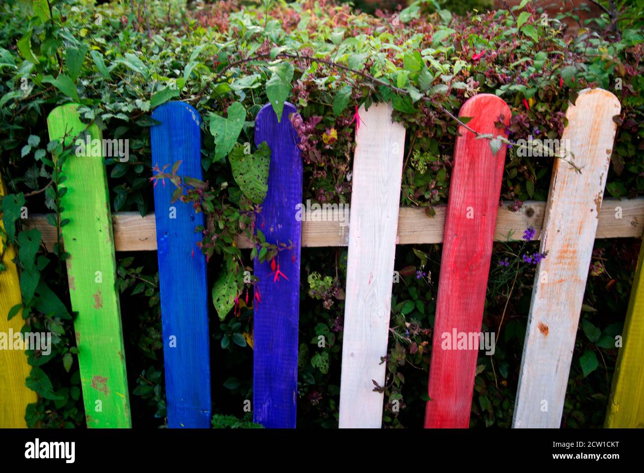 Isola di Wight, settembre 2020. Bembridge. Recinzione colorata arcobaleno Foto Stock