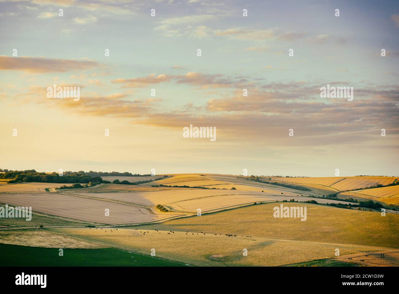 Vista dal Cissbury Ring a West Sussex, Inghilterra, in una serata estiva Foto Stock