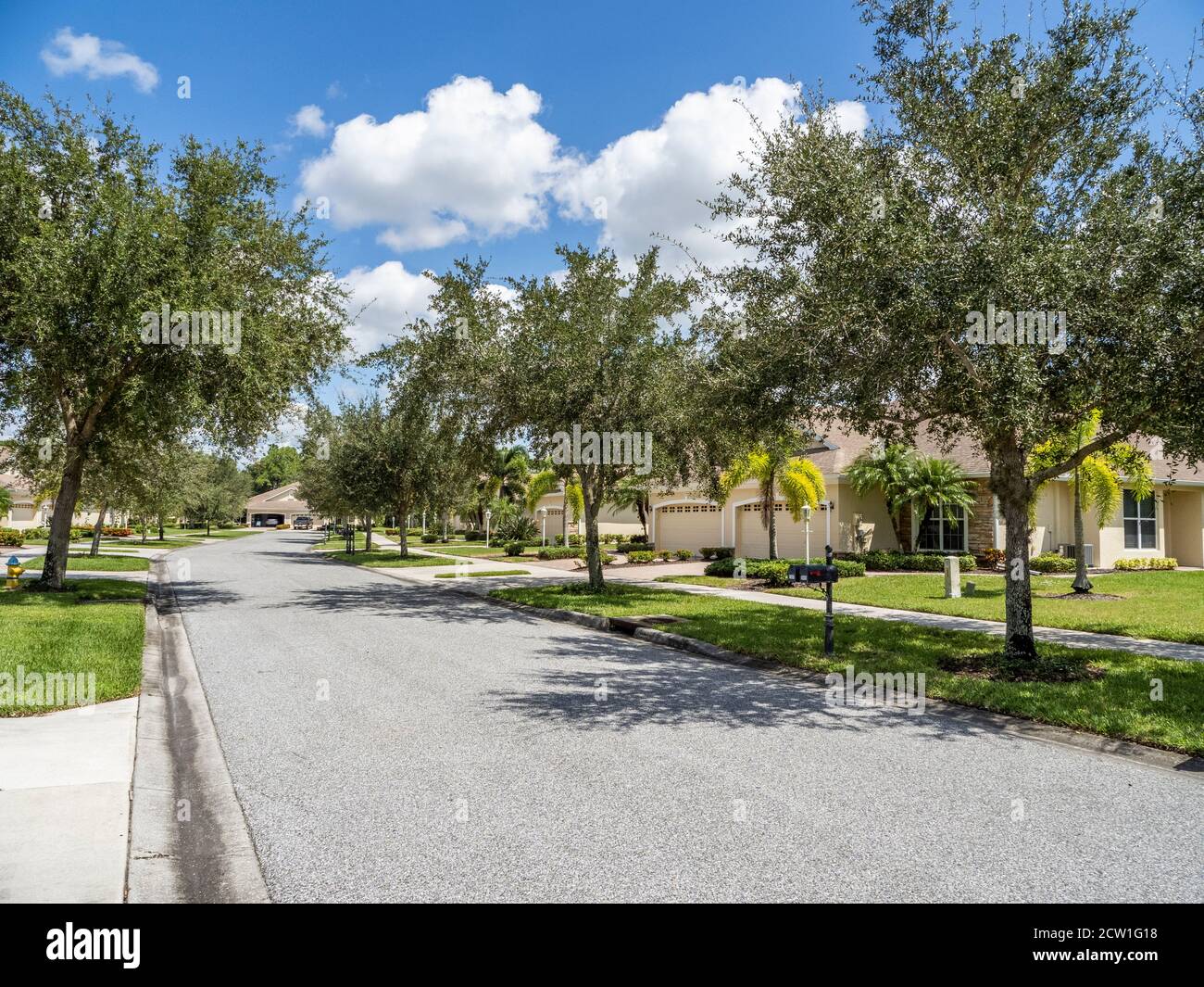 Alberato tranquilla strada residenziale in Florida, negli Stati Uniti Stati Foto Stock