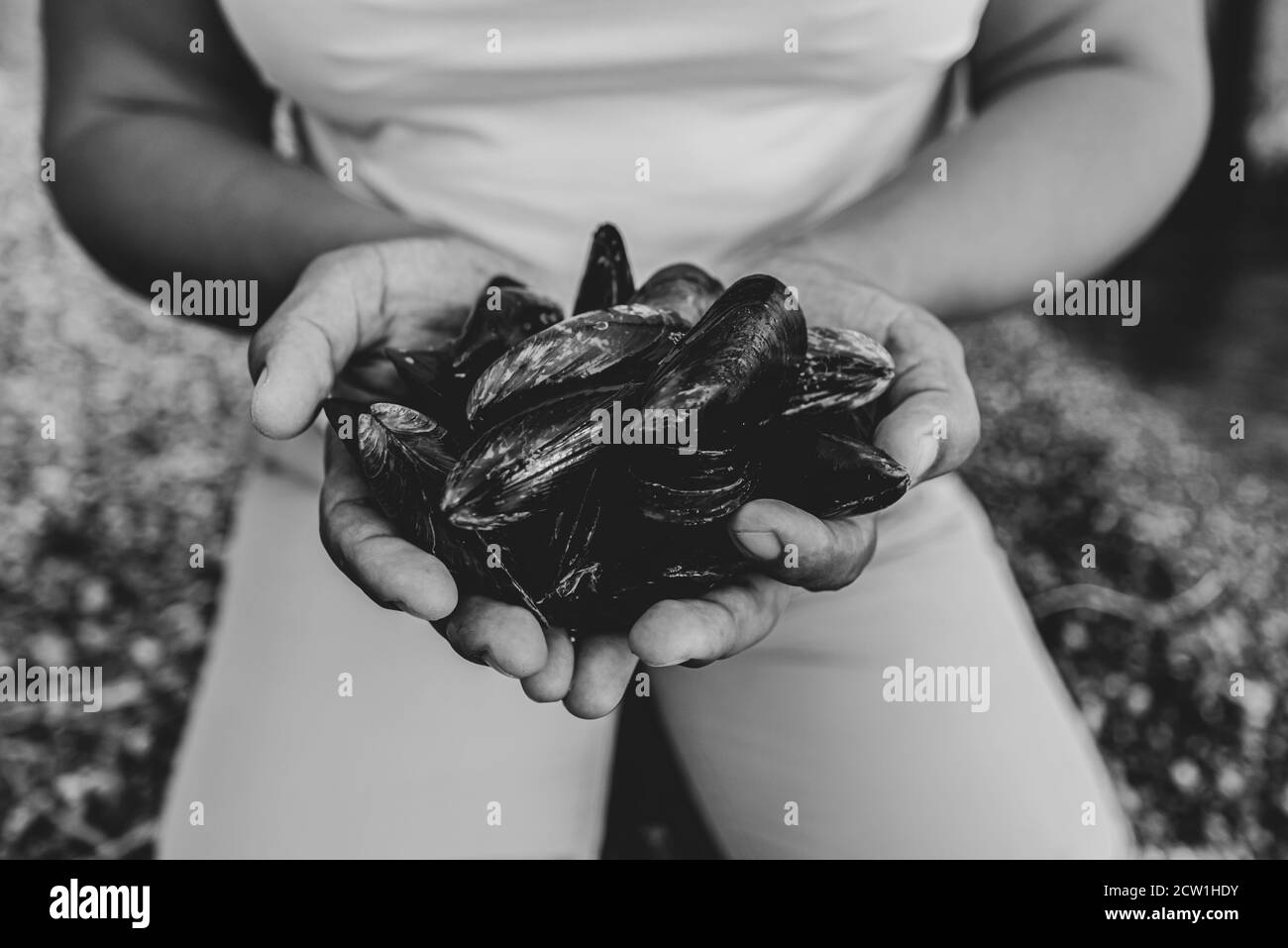 pescato fresco di cozze sulla spiaggia in mano di donne pescatore primo piano Foto Stock