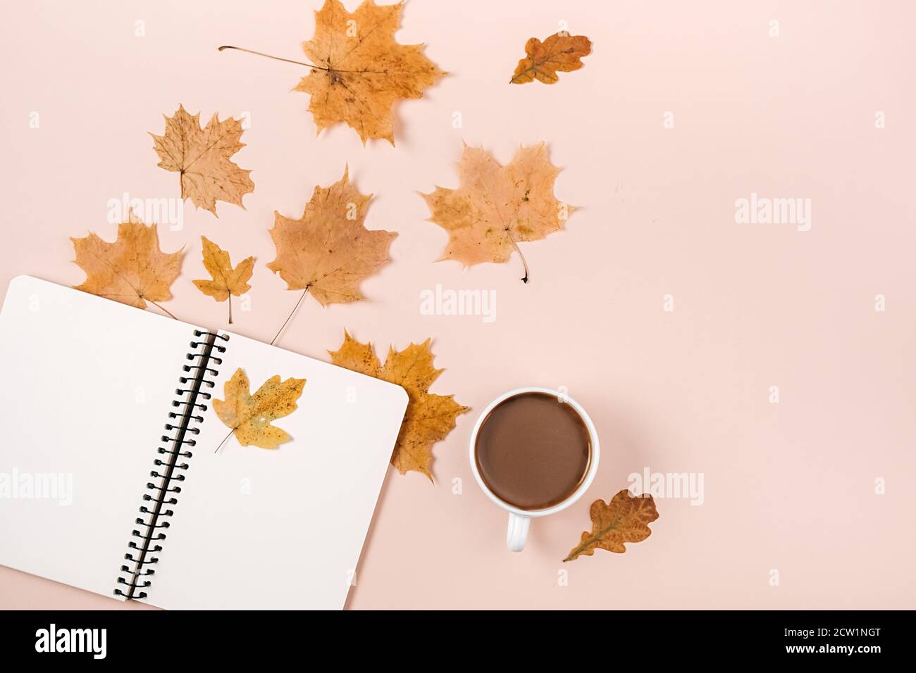 Composizione autunnale. Asciugato varie foglie, caffè tazza e notebook su sfondo rosa studio per la pubblicità. Autunno, caduta, giorno di ringraziamento concetto. Foto Stock