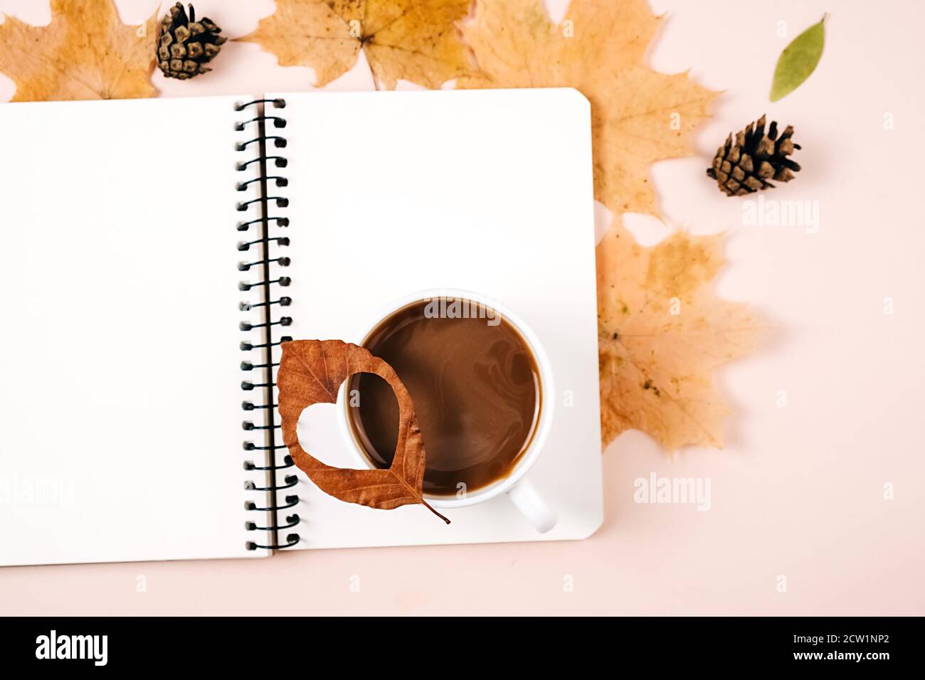 Composizione autunnale. Foglie secche varie, caffè latte latte tazza, coni di pino e notebook su sfondo rosa studio per la pubblicità. Autunno, autunno, Th Foto Stock