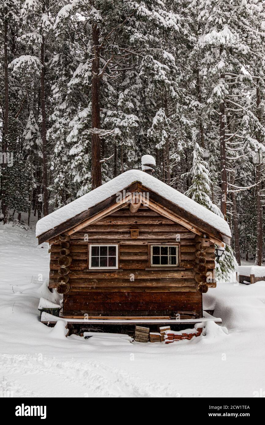 Una vecchia cabina di legno abbandonata si trova tranquillamente sotto una fresca coperta di neve invernale su Salt Spring Island, British Columbia, Canada. Foto Stock