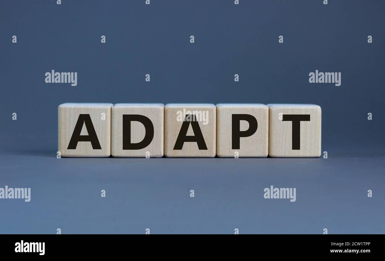 Cubetti di legno con la parola 'ADAPT'. Splendido sfondo grigio. Concetto aziendale. Spazio di copia. Foto Stock