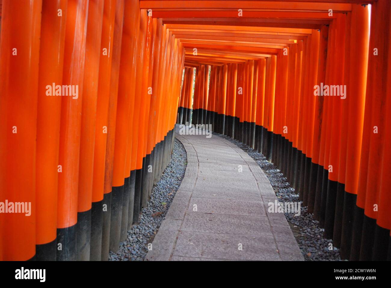 Red Torii Gates a Kyoto, Giappone Foto Stock