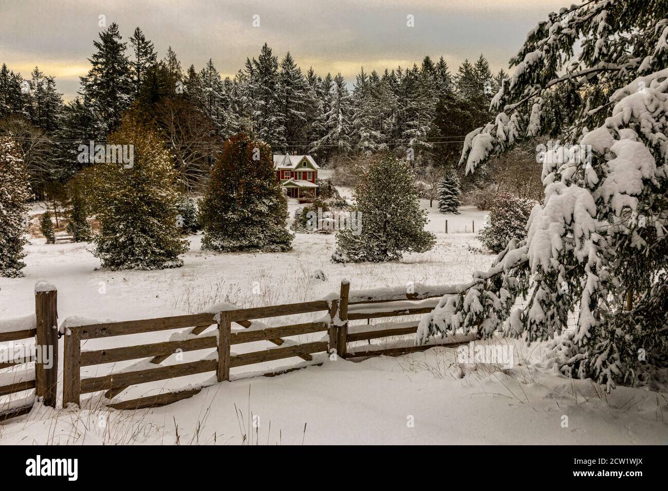 Una fresca cascata di neve coperte la fattoria storica in Ruckle Provincial Park su Salt Spring Island, British Columbia, Canada. Foto Stock