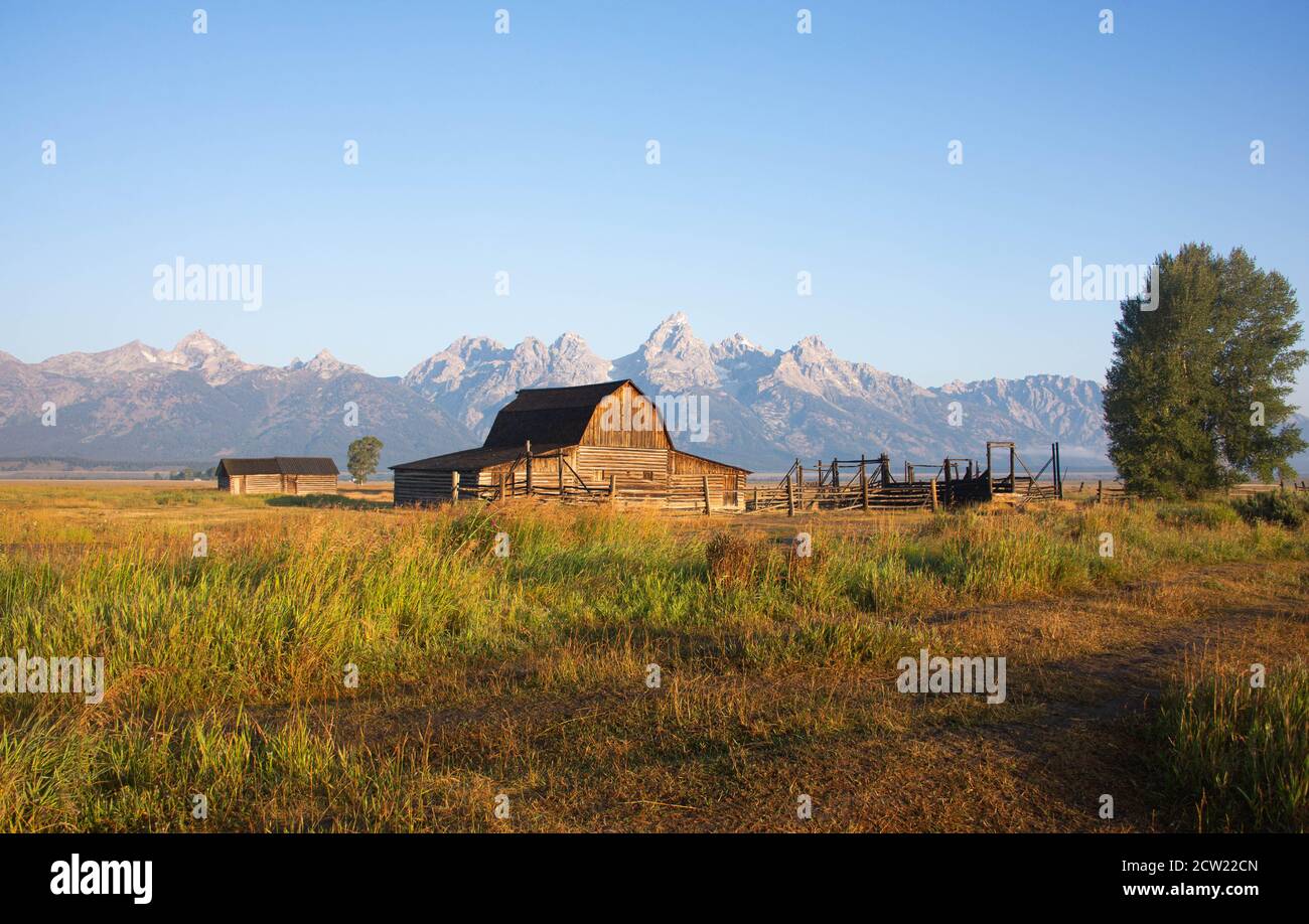 Splendida vista del granaio Reed Moulton e della casa, Grand Teton National Park, Wyoming, Stati Uniti Foto Stock
