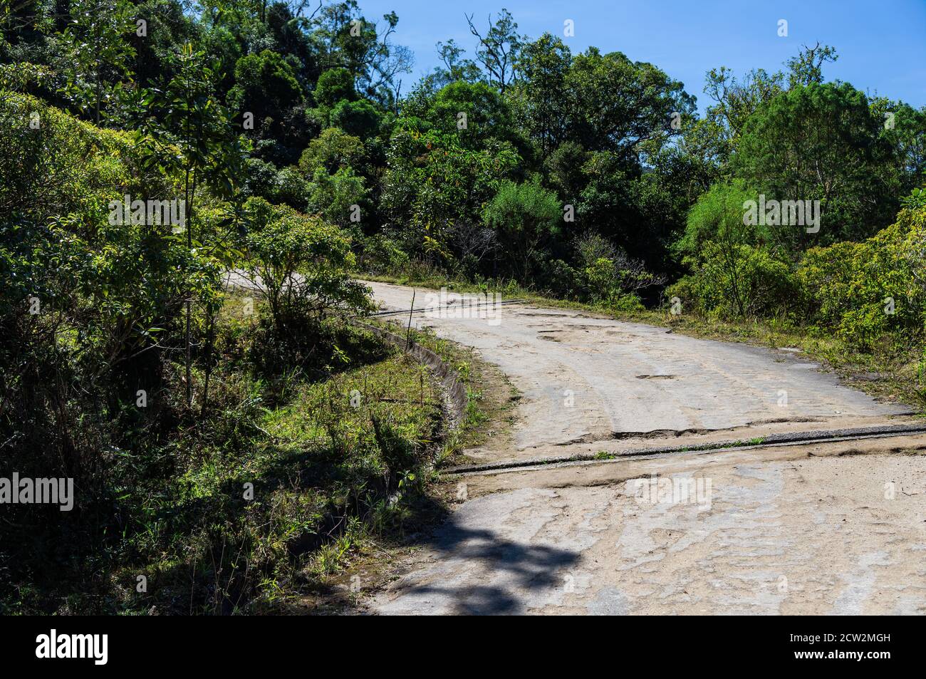 Una curva a sinistra in salita del sentiero escursionistico all'interno del parco nazionale Serra da Bocaina che conduce ai punti di osservazione della Pedra da Macela. Foto Stock